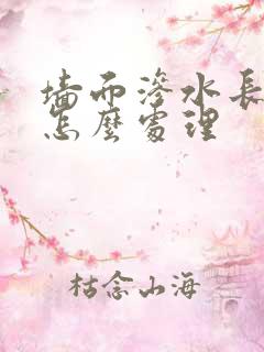 墙面渗水长霉应怎么处理