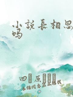 小说长相思好看吗