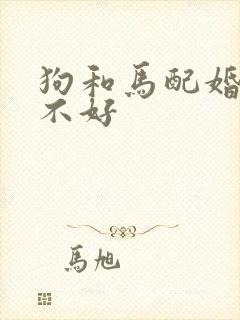 狗和马配婚姻好不好