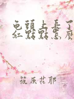 龟头上长了几个红点点怎么回事