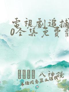 电视剧追捕者40全集免费观看