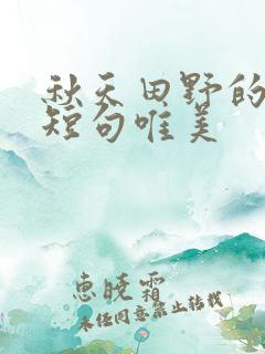 秋天田野的句子短句唯美