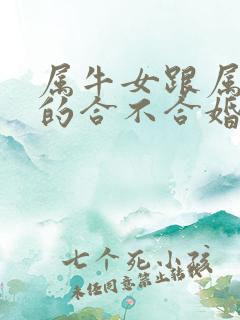 属牛女跟属兔男的合不合婚