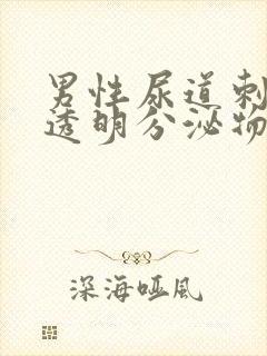 男性尿道刺痛有透明分泌物