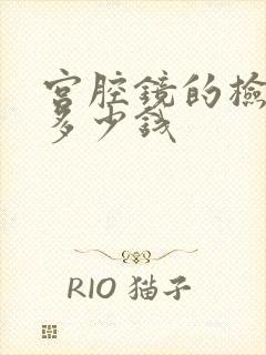 宫腔镜的检查需多少钱