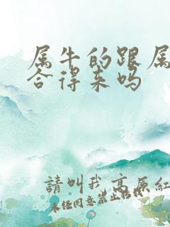 属牛的跟属马的合得来吗