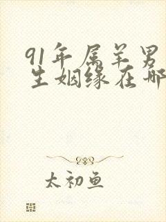 91年属羊男一生姻缘在哪年