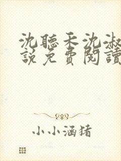 沈听禾沈淑晴小说免费阅读最新章节