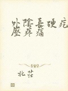 外阴长硬疙瘩按压疼痛