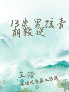 13岁男孩青春期叛逆