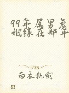 99年属男兔的姻缘在哪年