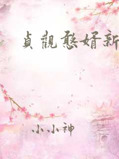 贞观憨婿新章节