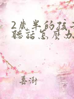 2岁半的孩子不听话怎么办