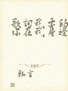 歌词我要的只是你在我身边