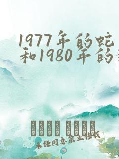 1977年的蛇和1980年的猴相配吗
