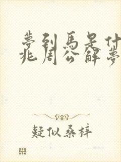 梦到马是什么预兆周公解梦