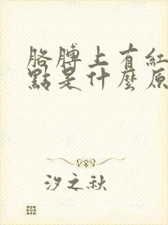 胳膊上有红色斑点是什么原因