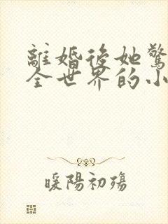 离婚后她惊艳了全世界的小说