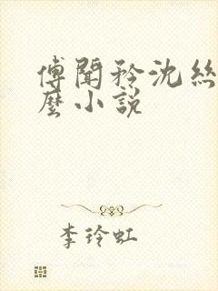 傅闻矜沈丝雨什么小说