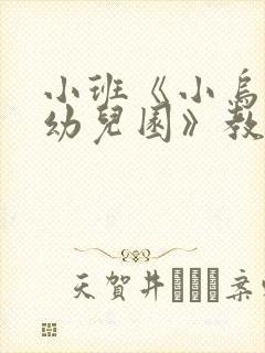 小班《小乌龟上幼儿园》教案反思