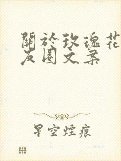 关于玫瑰花的朋友圈文案