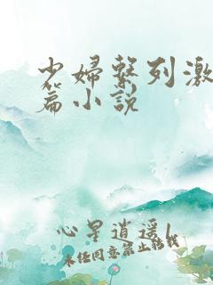 少妇系列激情短篇小说