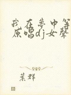 我在梦中等着你原唱dj女声版