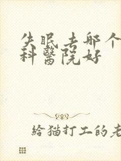 失眠去哪个失眠科医院好