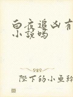 白夜追凶有原著小说吗