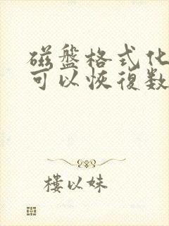 磁盘格式化后还可以恢复数据?