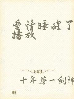 爱情睡醒了在线播放