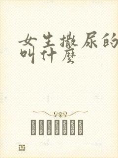 女生撒尿的地方叫什么