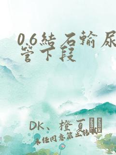 0.6结石输尿管下段