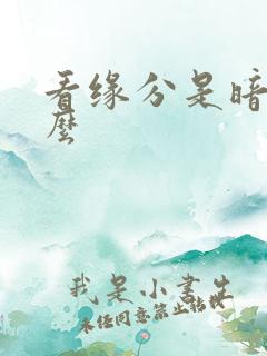 看缘分是暗示什么