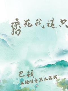 操死我这只骚母狗