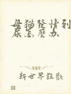 母猫发情到处乱尿怎么办