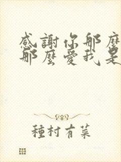 感谢你那么懂我那么爱我是什么歌