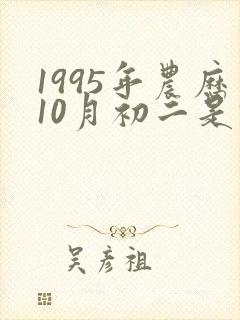 1995年农历10月初二是什么星座