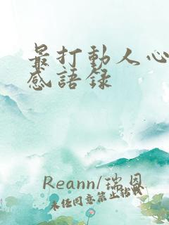 最打动人心的情感语录