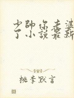 少帅你老婆又跑了小说最新章节下载