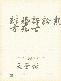 离婚诉讼期间一方死亡