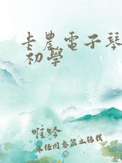 卡农电子琴简谱 初学