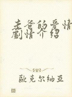 老爸的爱情分集剧情介绍