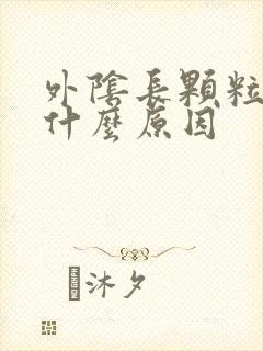 外阴长颗粒瘙痒什么原因