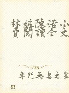 林婉陈浩小说免费阅读全文最新章节