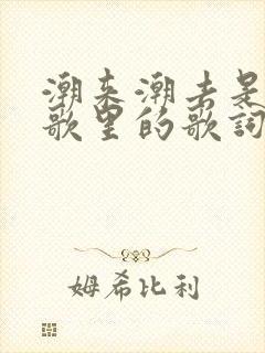 潮来潮去是哪首歌里的歌词