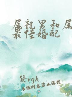 属龙男和属龙女最佳婚配