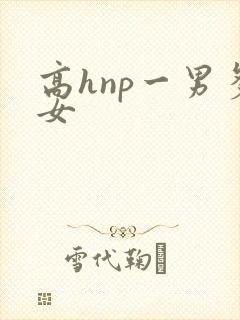 高hnp一男多女