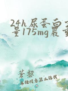 24h尿蛋白定量175mg严重吗