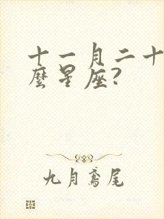 十一月二十是什么星座?